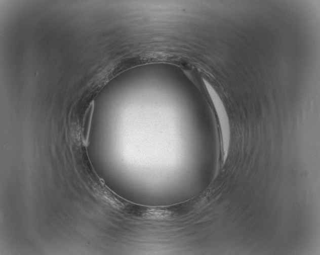 X0000078000617200611171822