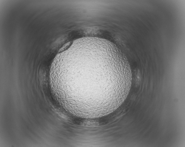 X0000078000619200611171822