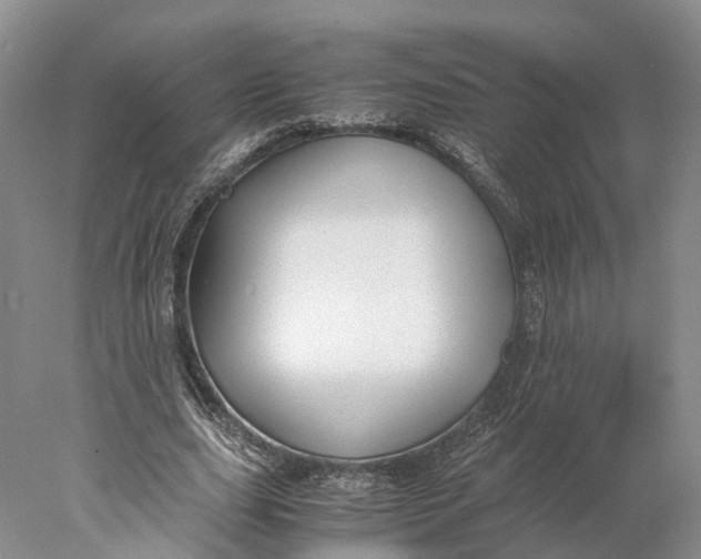 X0000078000631200611171821