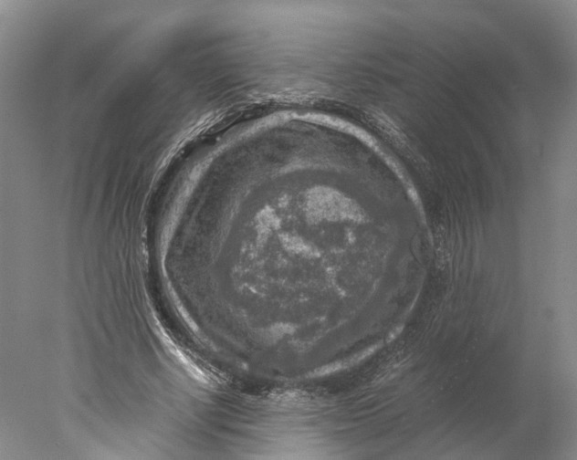 X0000078000634200611171821
