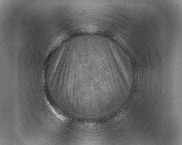 X0000078000638200611171821