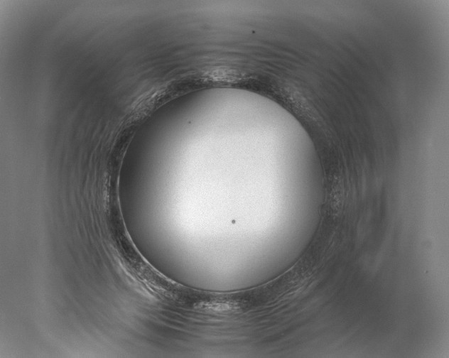 X0000078000639200611171821