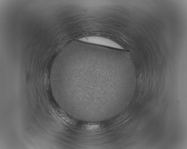 X0000078000651200611171822