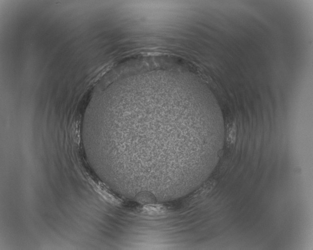 X0000078000666200611171822