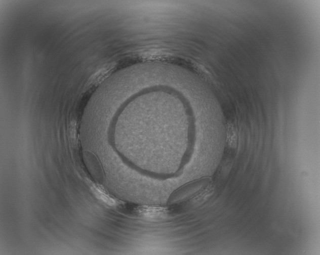 X0000078000670200611171822