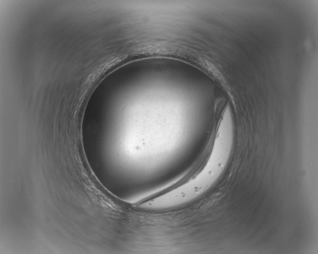 X0000078000673200611171821