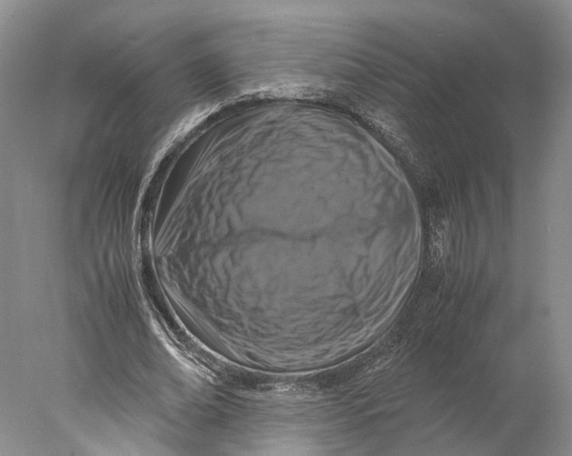 X0000078000678200611171821
