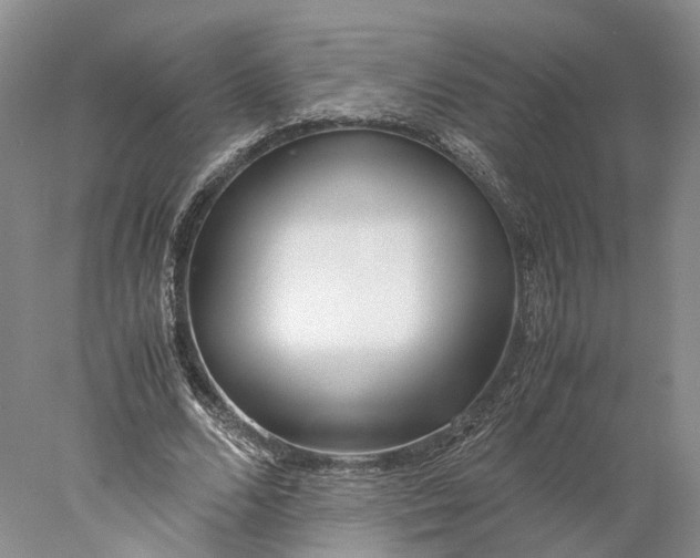X0000078000680200611171821