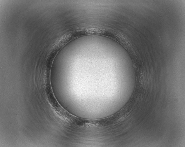 X0000078000690200611171821