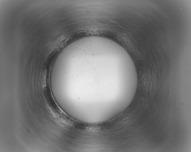 X0000078000694200611171821