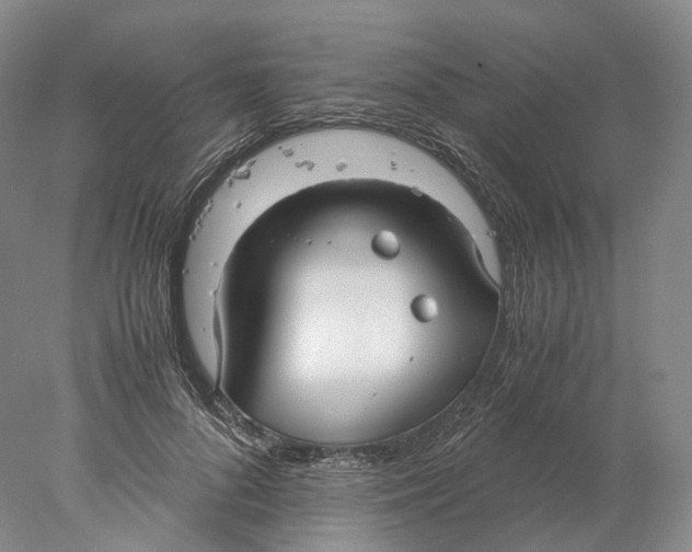 X0000078000696200611171821