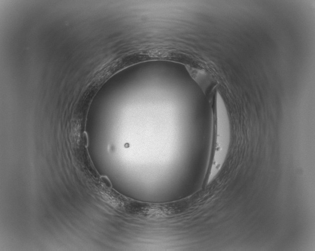 X0000078000697200611171821
