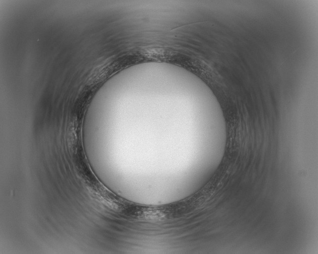 X0000078000702200611171821
