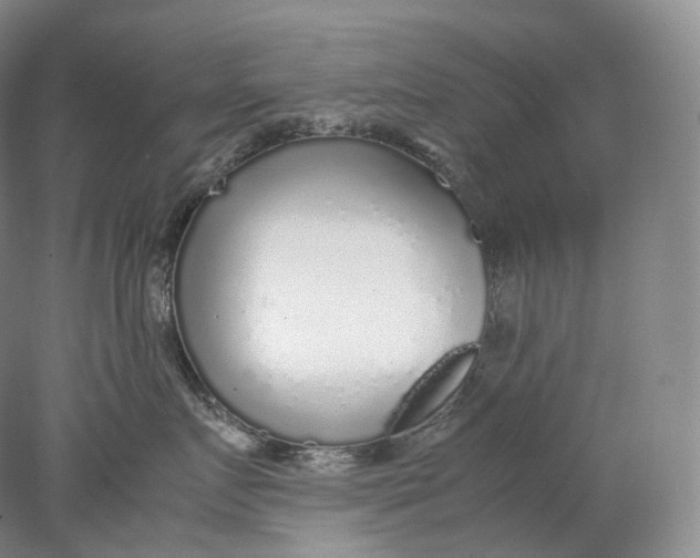 X0000078000719200611171820