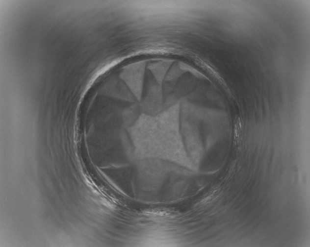 X0000078000724200611171819