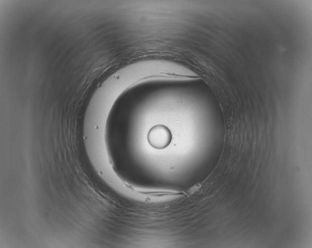 X0000078000748200611171820