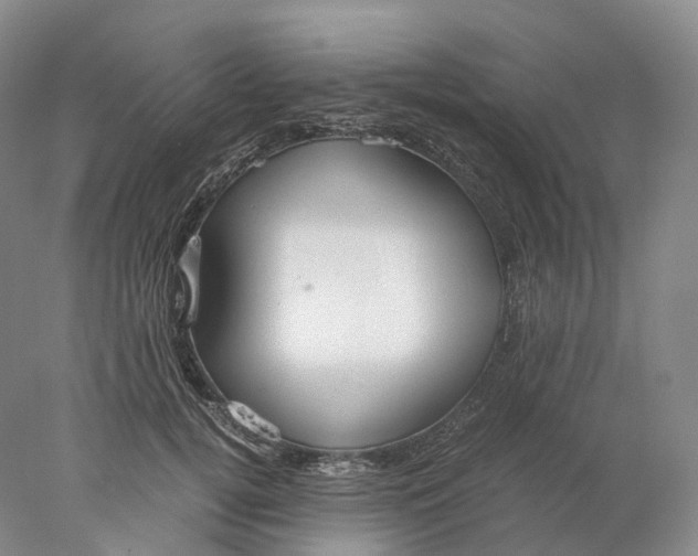X0000078000752200611171820