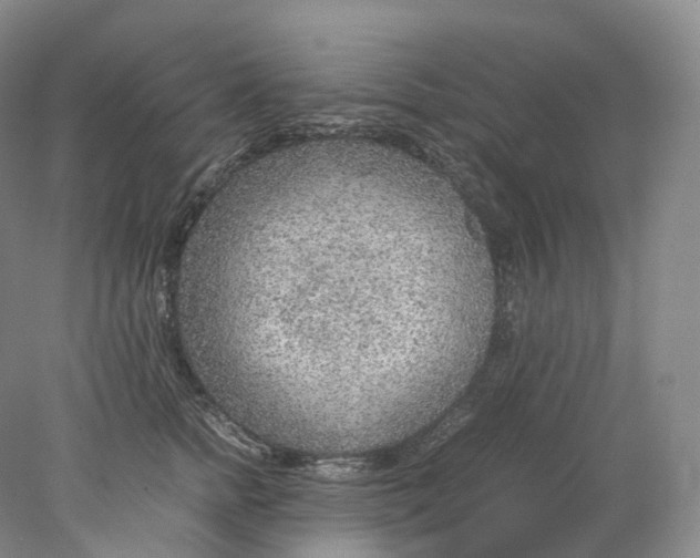 X0000078000758200611171820