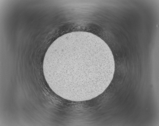 X0000078000769200611171819
