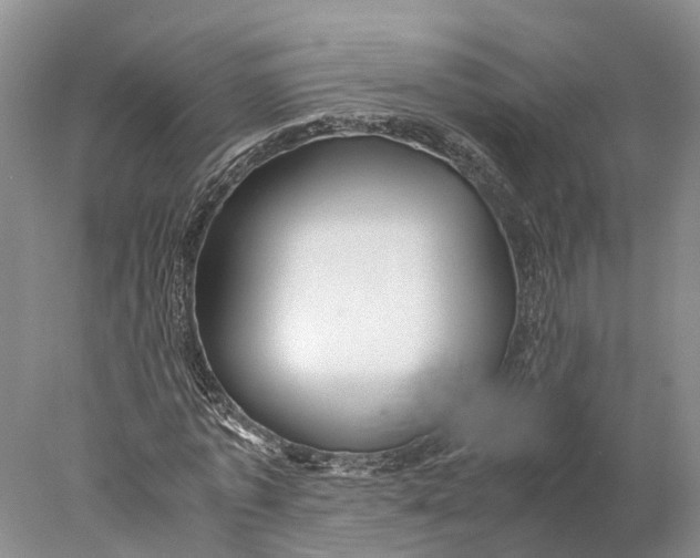 X0000078000773200611171819