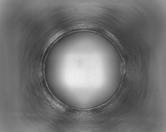 X0000078000786200611171819