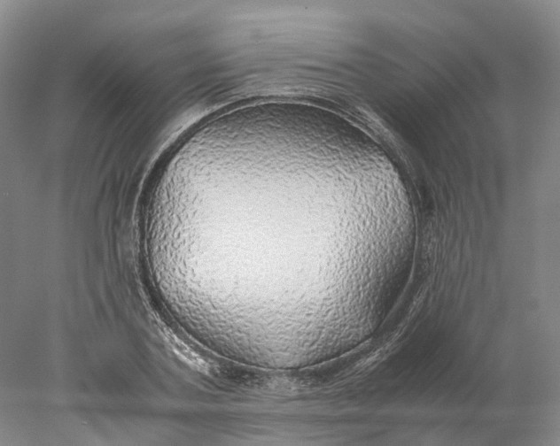 X0000078000787200611171819