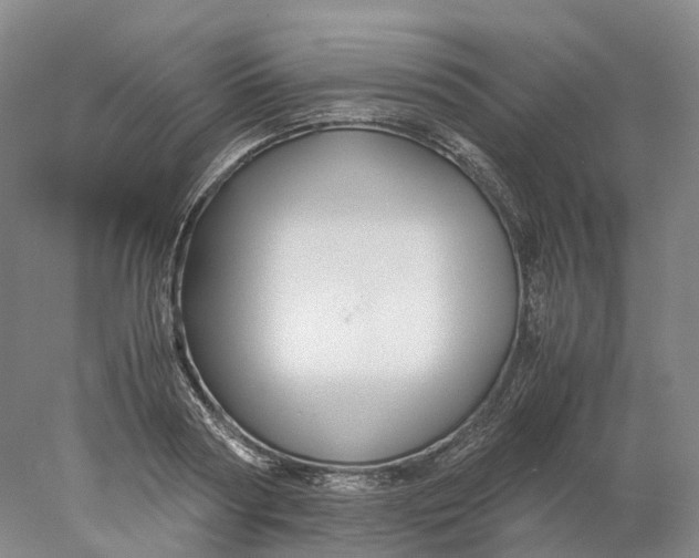 X0000078000794200611171819