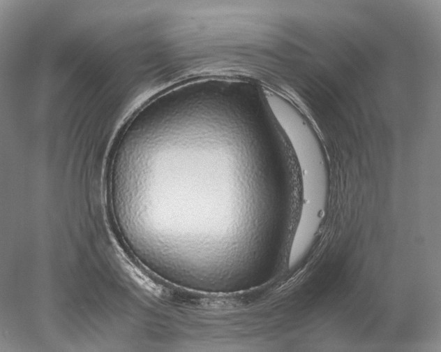 X0000078000795200611171819