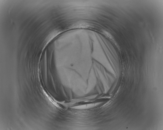 X0000078000802200611171819