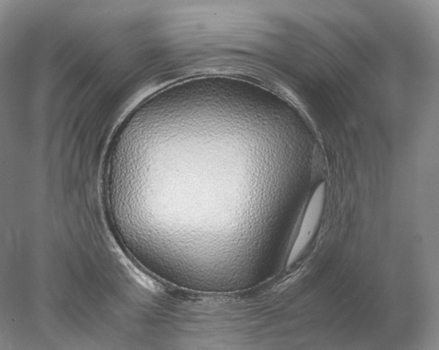 X0000078000803200611171819