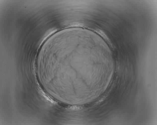 X0000078000806200611171819