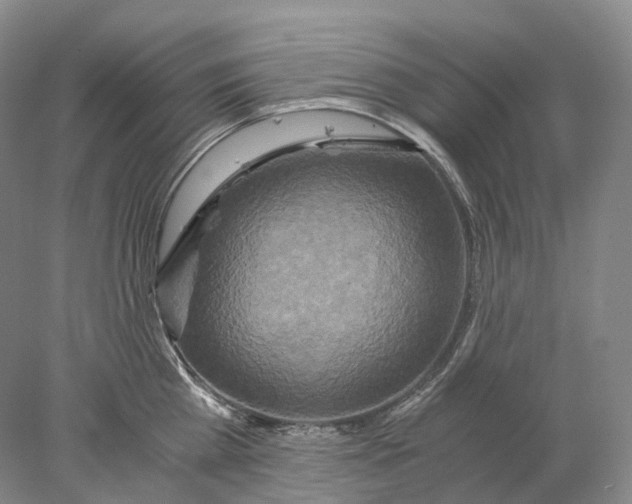 X0000078000809200611171819