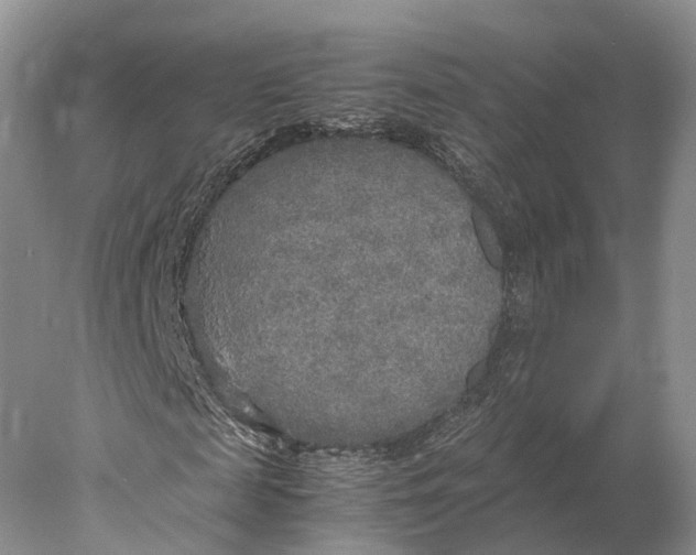 X0000078000817200611171818