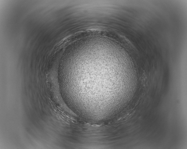 X0000078000821200611171818
