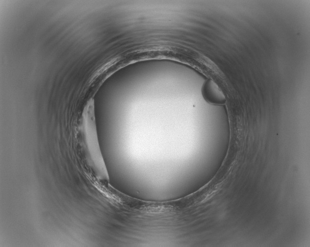X0000078000826200611171818