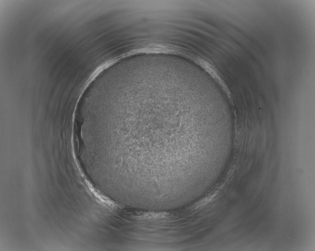 X0000078000845200611171818