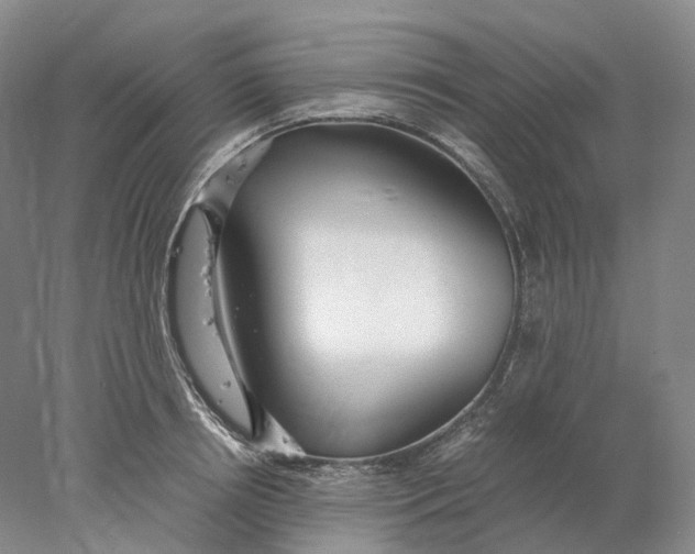 X0000078000850200611171818
