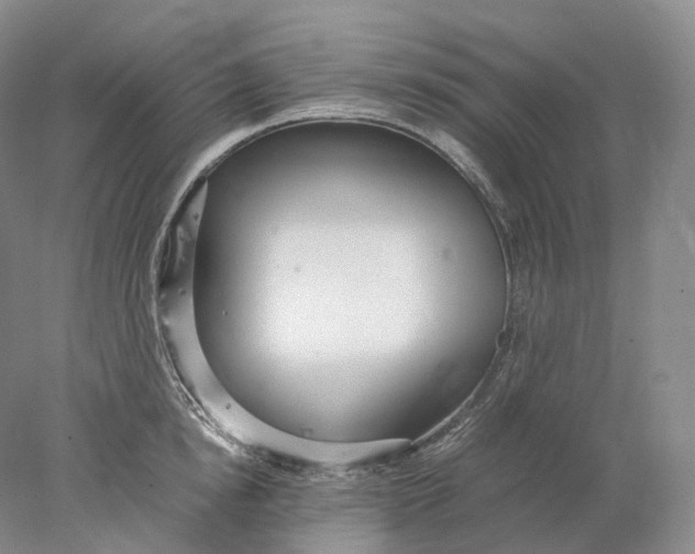 X0000078000854200611171818