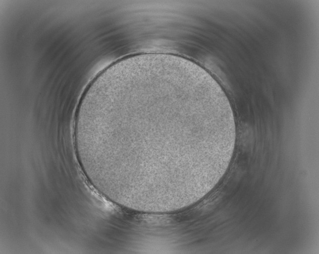 X0000078000856200611171818