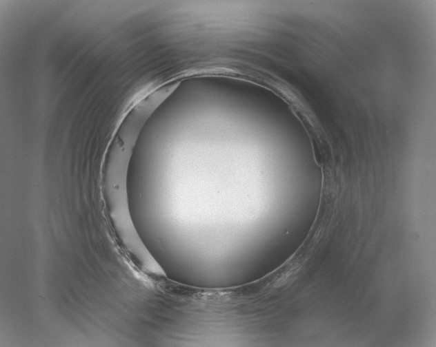 X0000078000858200611171819