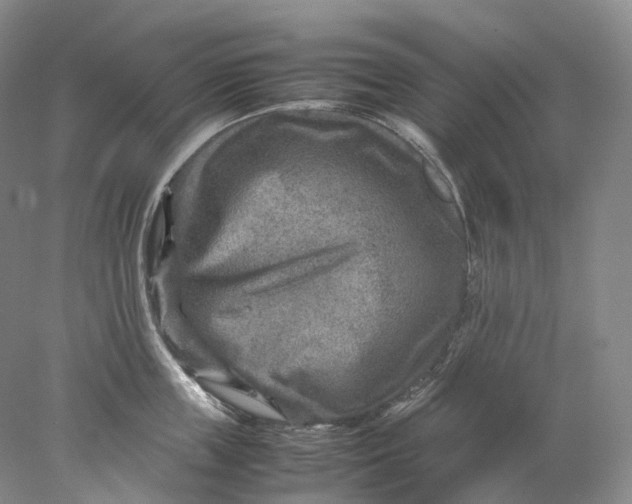 X0000078000859200611171819