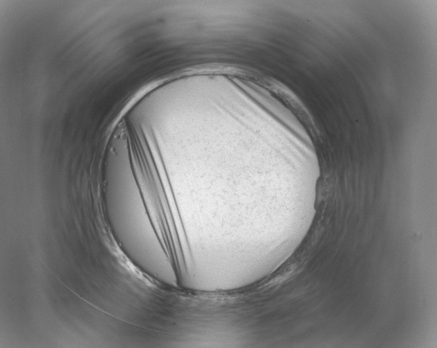 X0000078000860200611171819