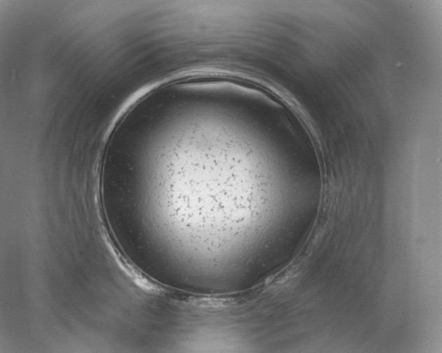 X0000078000862200611171819