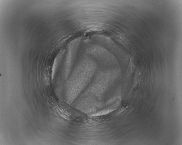 X0000078000868200611171818