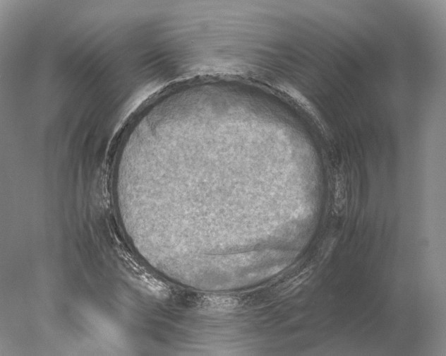 X0000078000878200611171818