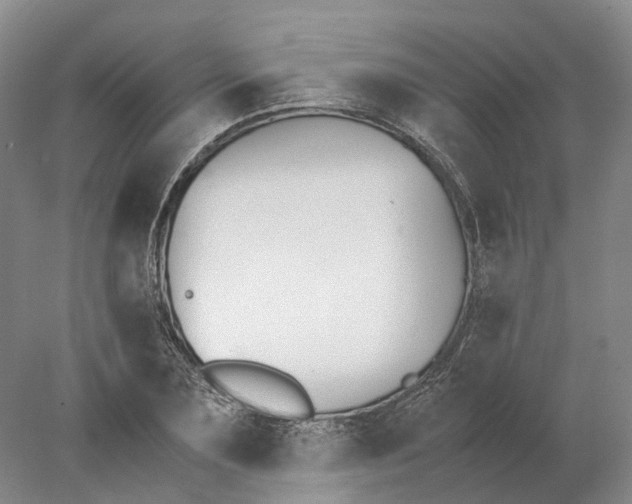 X0000078000883200611171817
