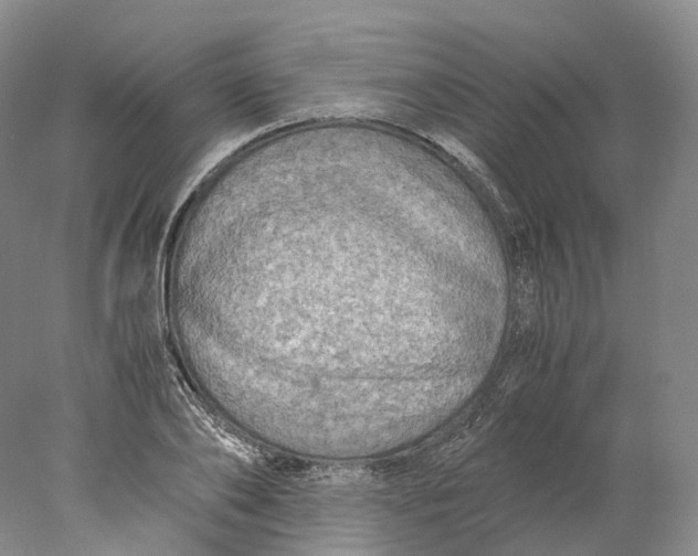 X0000078000886200611171817