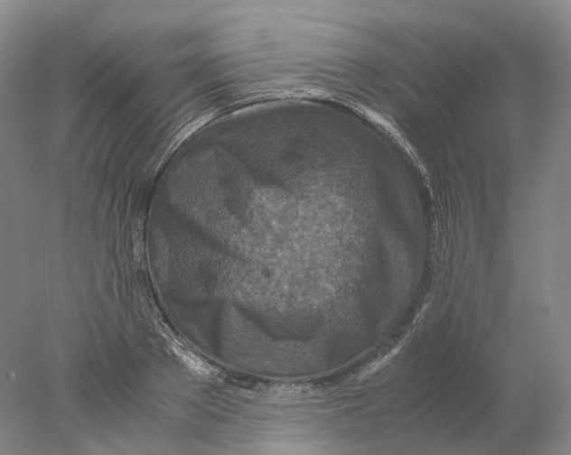 X0000078000889200611171817