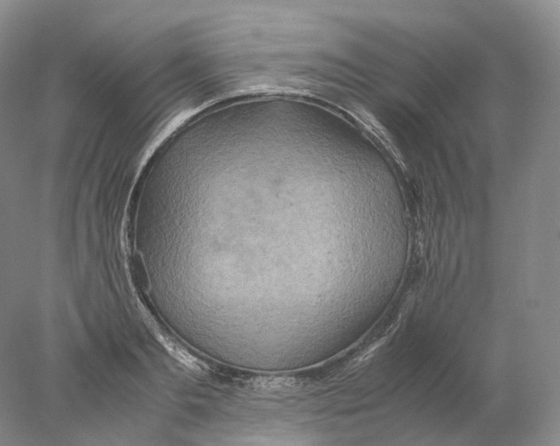 X0000078000893200611171817