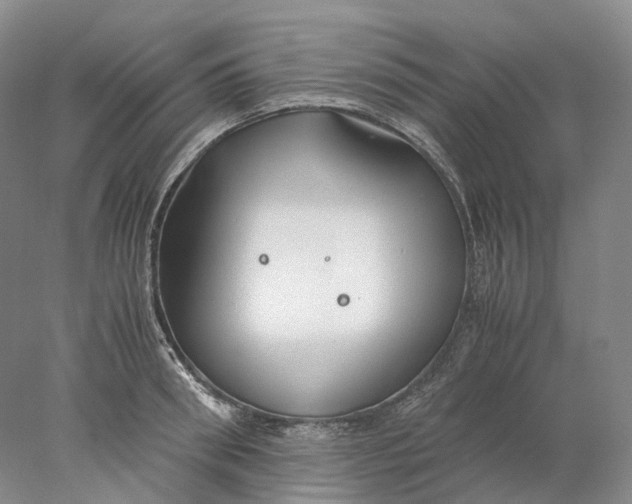 X0000078000898200611171817